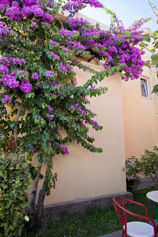 Apartments Angela Budva Exterior foto